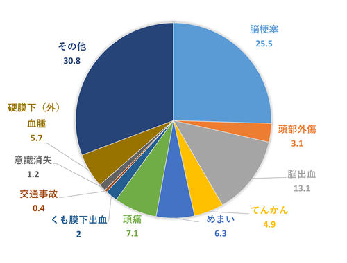 2023年　救急搬送疾患内訳